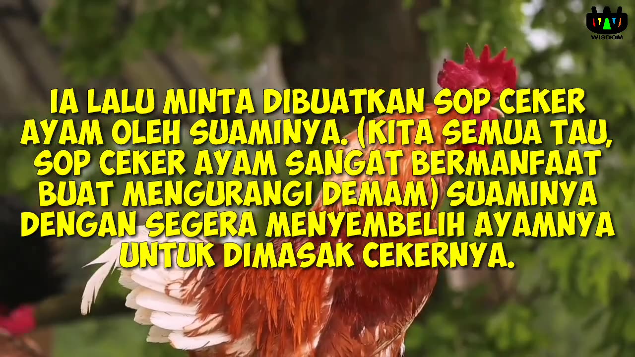 CERITA KETENANGAN HIDUP WISDOM - CERITA SI TIKUS