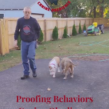 Hi we're Adonis and Athena !! Let's see How we are doing !!