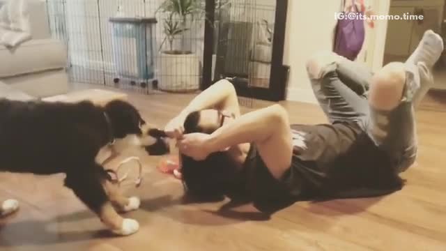 Black dog trying to pull owner with glasses by his hair