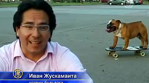 Bulldog skateboarder became a star