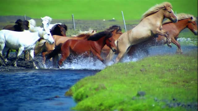 So many horses crossing the river, it's too fierce, it scares people to death