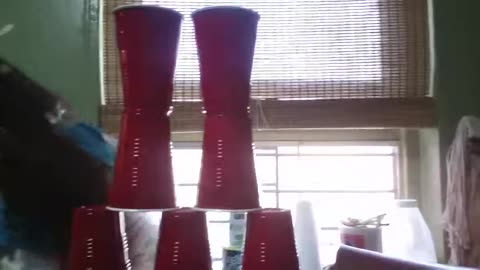 Maylin Playing with cups- Sep 10, 2014