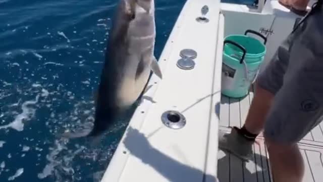 Thatwasclose#fishing