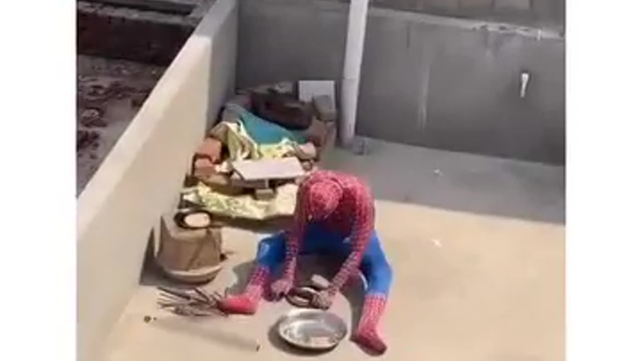 Meanwhile Spiderman is Busy after marriage _ Funny Video