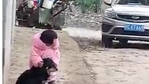 Caring toddler covers dog's ears during fireworks!