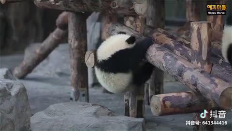 Troublemaker PANDA.