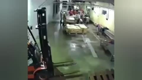 TOTAL IDIOTS AT WORK