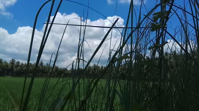 Beautiful sky l cloud sky