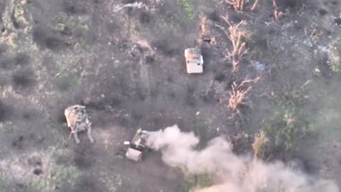 Ukrainian Artillery Destroys Russian Column