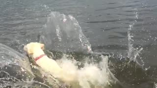 Kolbie Slow-mo