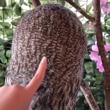 So cute 360 degrees neck turn