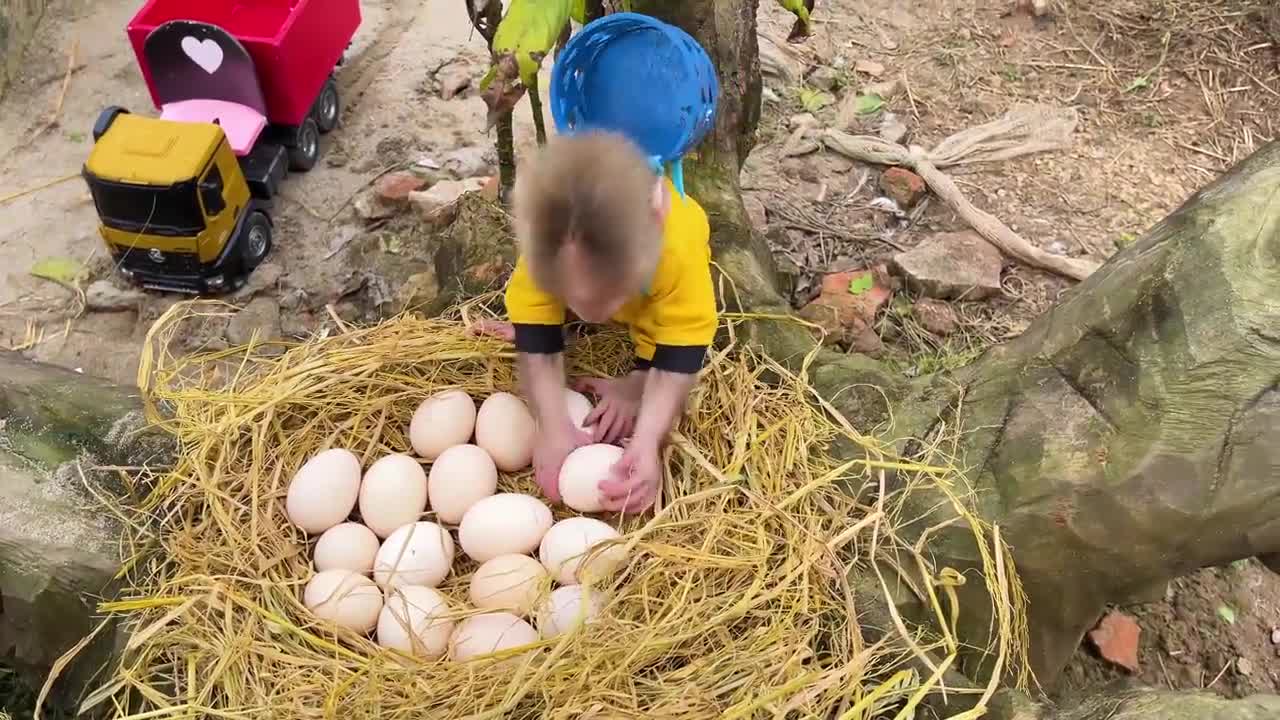 Amazing Boiling eggs monkey and by Eat Dog