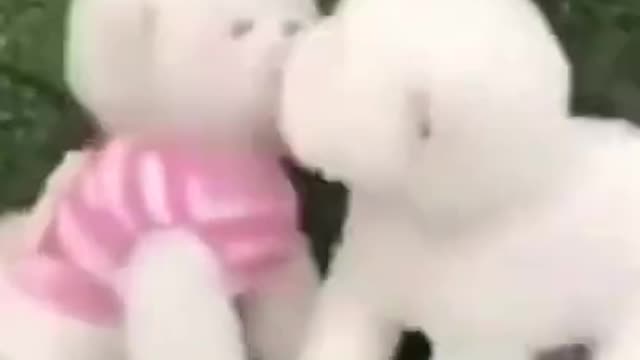 Celo Pets - Animais Engraçados