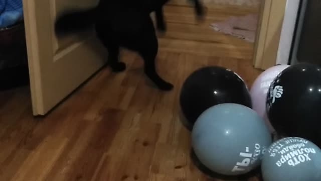 Playing with balls