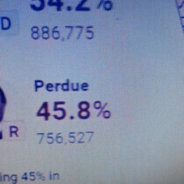 INTERNATIONAL WIDE ELECTION FRAUD VOTING MACHINE CRIME, GEORGIA RUNOFF SHAM ELECTION CRIME 10