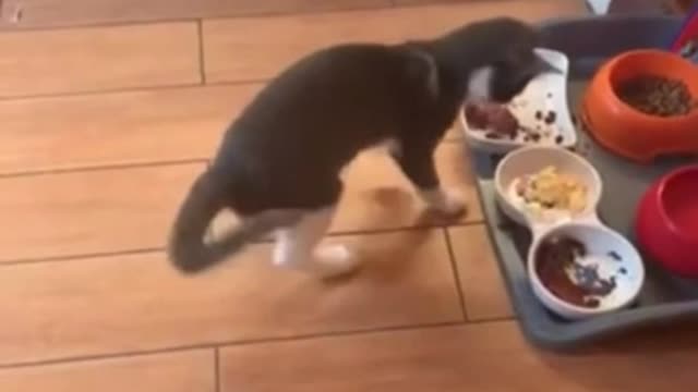 And that's all for me?!