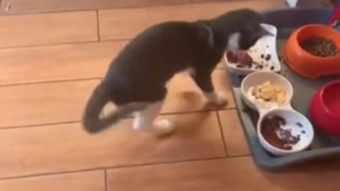 And that's all for me?!
