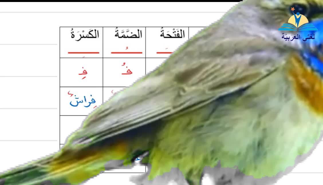 تعليم الحروف العربية- حرف الفاء- #تعليم_اللغة_العربية​​​ learning Arabic-Arapça Öğretimi