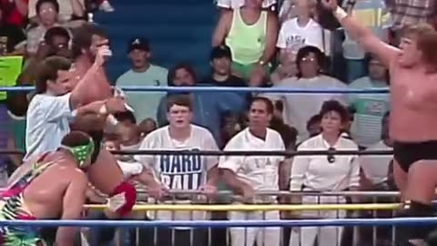 Steiner Bros vs Miracle Violence Connection
