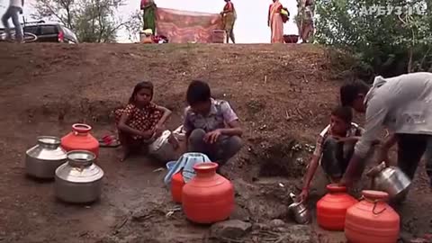 A cobra dying of thirst crawled to people to ask for water