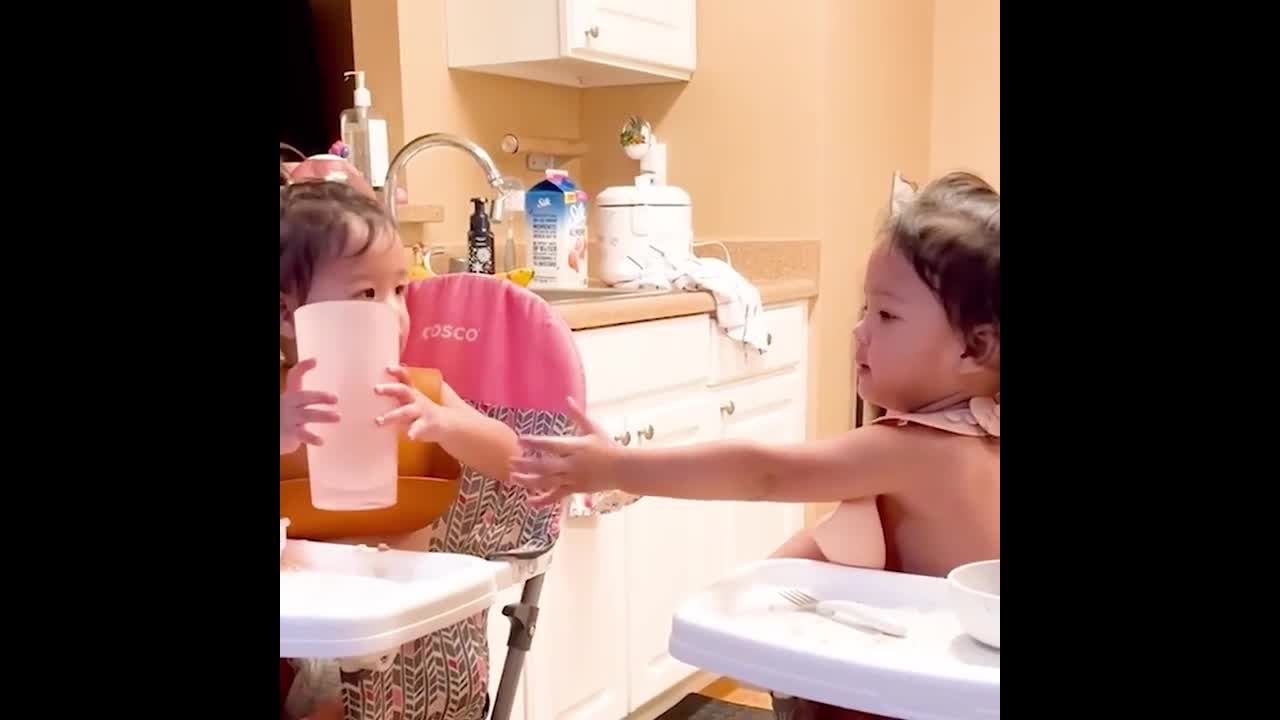 Daily life in which twins learn from each other