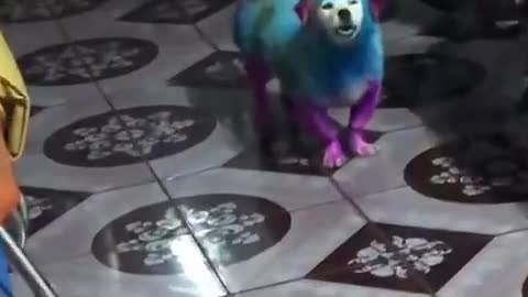 Color the dog with its own musical melodies