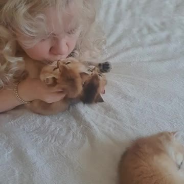 Lovely little kittens 😍❤️