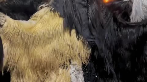 Satan's party in Morocco 