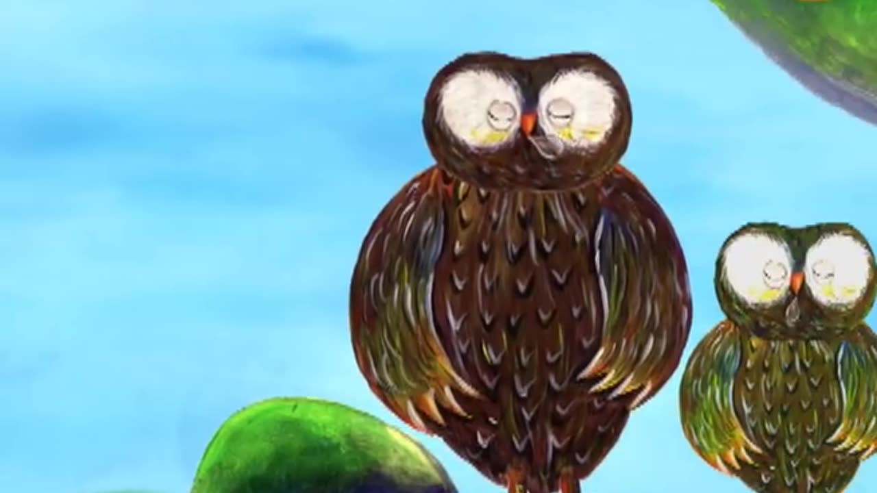 Learn the ABCs_ _O_ is for Owl