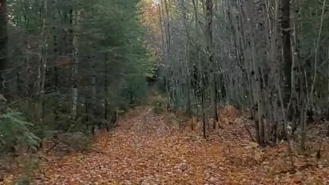 Maine ATV Ride