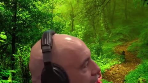 Amazon Jungle