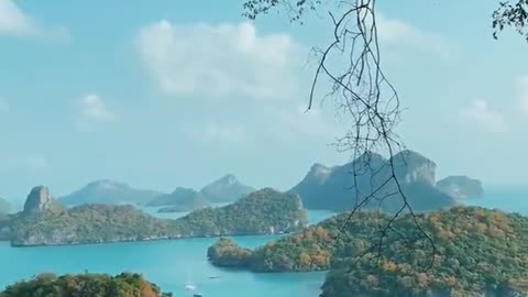 #The Real Hill Nature