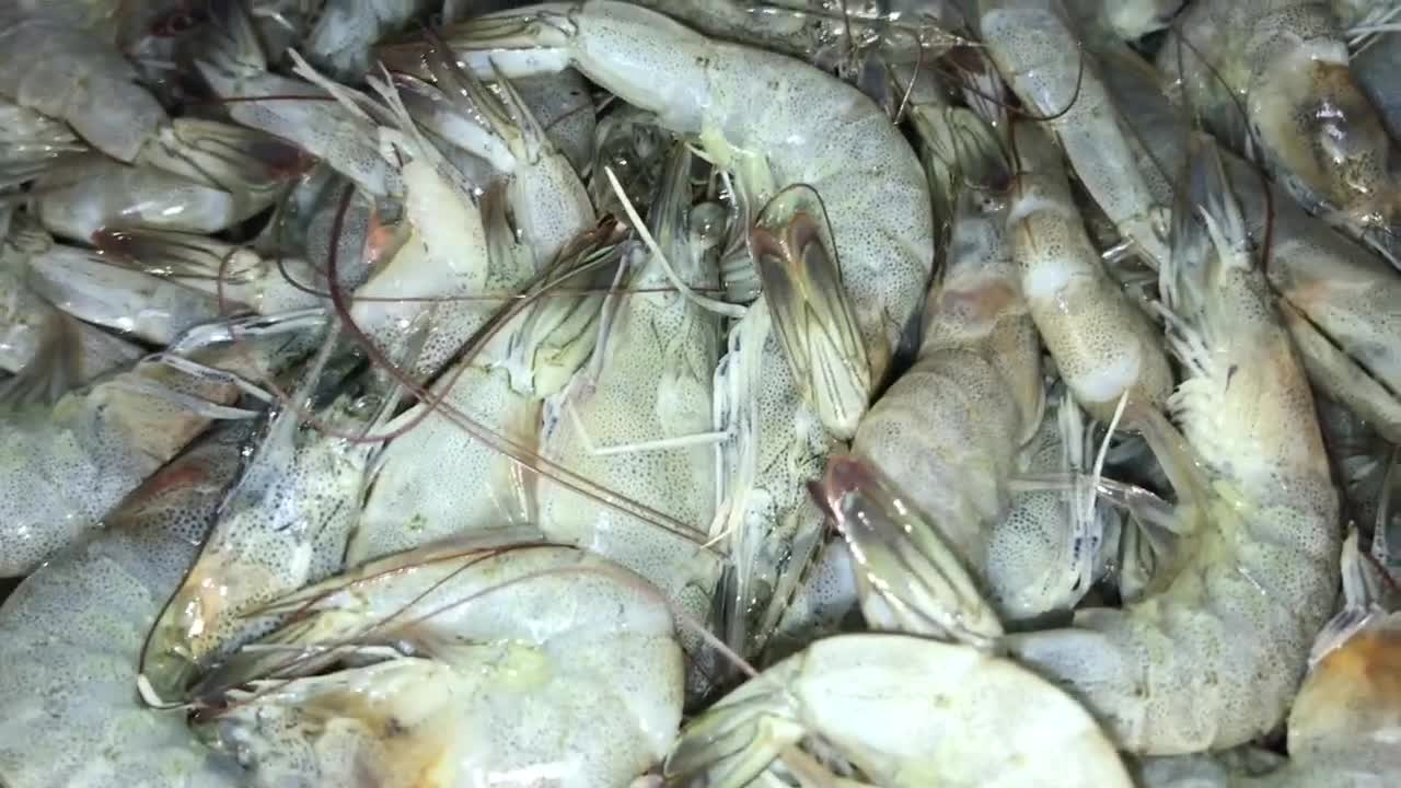 Ginisang Sitaw(string beans) with Hipon(Shrimp)