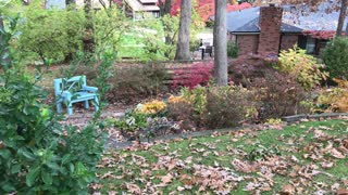 Veteran's Day Garden Tour 2021