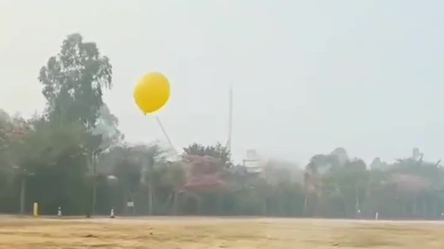 Play balloon by doggy