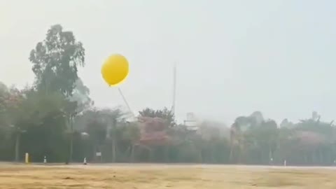 Play balloon by doggy