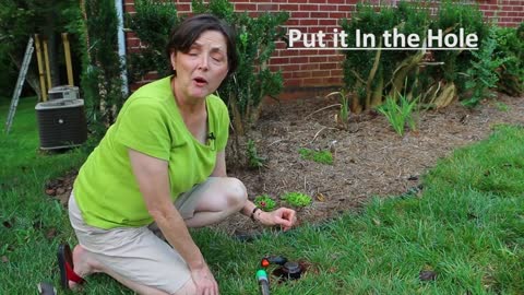 How to install and adjust a Quick-Snap Buried Sprinkler.