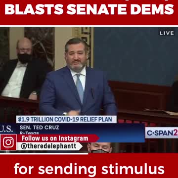 Sen Ted Cruz BLASTS Senate Dems!