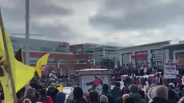 Freedom Rally Waterloo Ontario