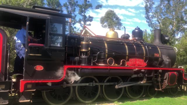 Steam Train Amamoor