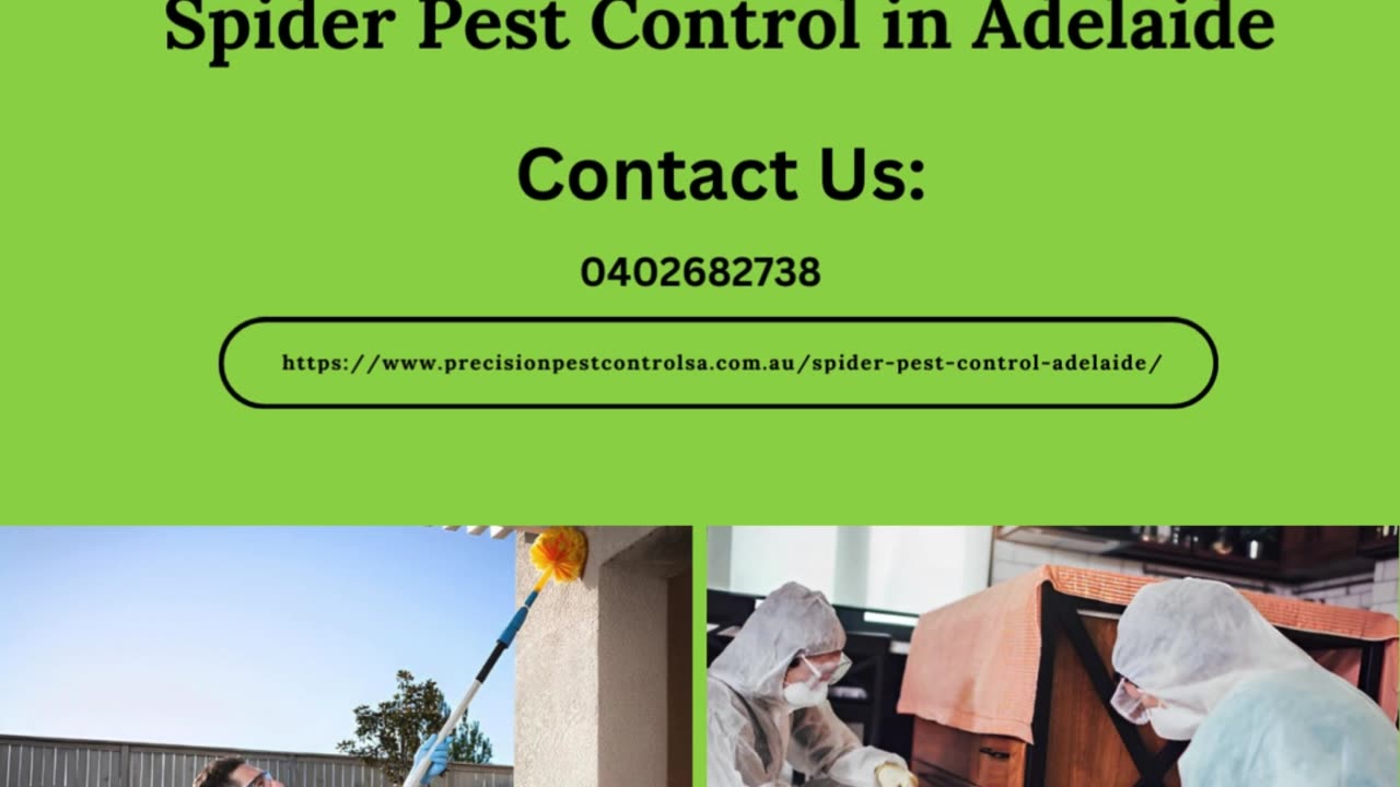 Expert Spider Pest Control in Adelaide: Keeping Your Home Safe and Pest-Free