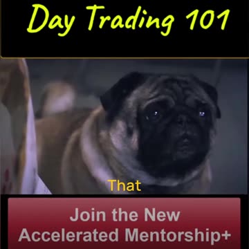 Crackhead Traders 101 Life Lessons #trading #personalgrowth #moneytips