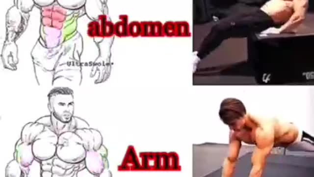 Best Exercises