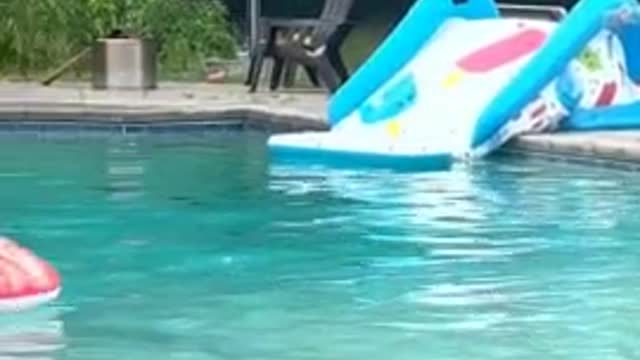 Baby Gets Very Jealous When Dad Plays With Little Cousin