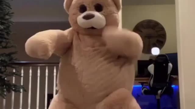 Dancing in a Bear Costume 😂