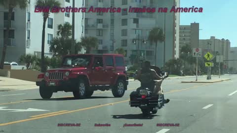 Cachorro Andando de Harley Davidson + Daytona Beach + Florida + USA + EUA + United States