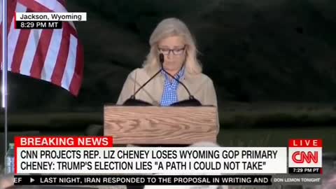 Liz Cheney Likens Herself To President Grant...