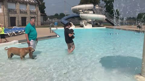 2018.08.12 Gunner and Alfredo in the Pool Kewanee