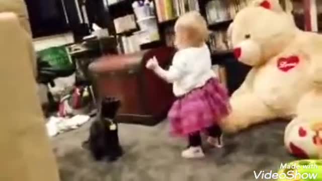 CATS PLAYING WITH BABIES