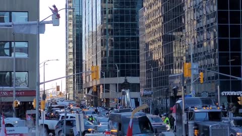 Freedom Convoy Ottawa (Saturday, Jan 29th 2022)